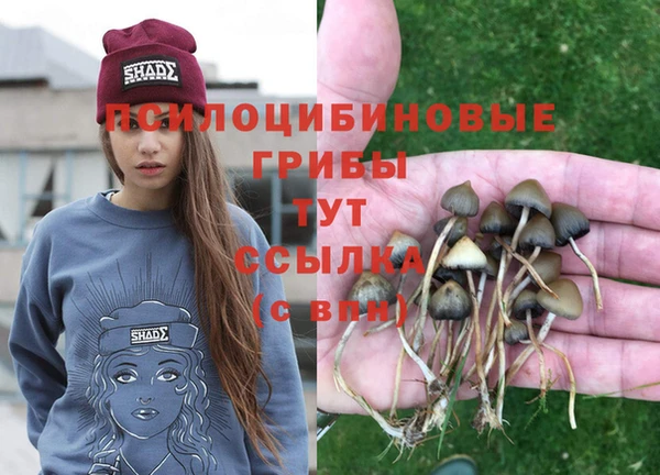 бутик Богданович