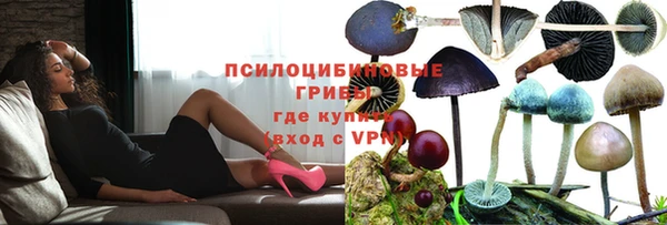 дмт Богородск