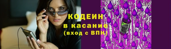 дмт Богородск