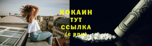 дмт Богородск