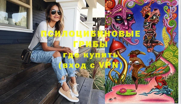 дмт Богородск